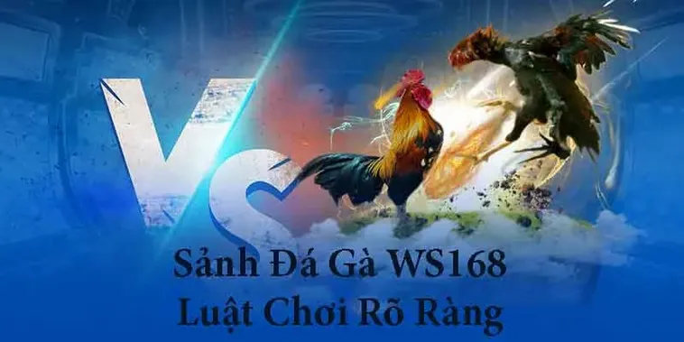 Khám Phá Cách Chơi Đá Gà WS168 Tại 12Bet Hấp Dẫn Kịch Tính