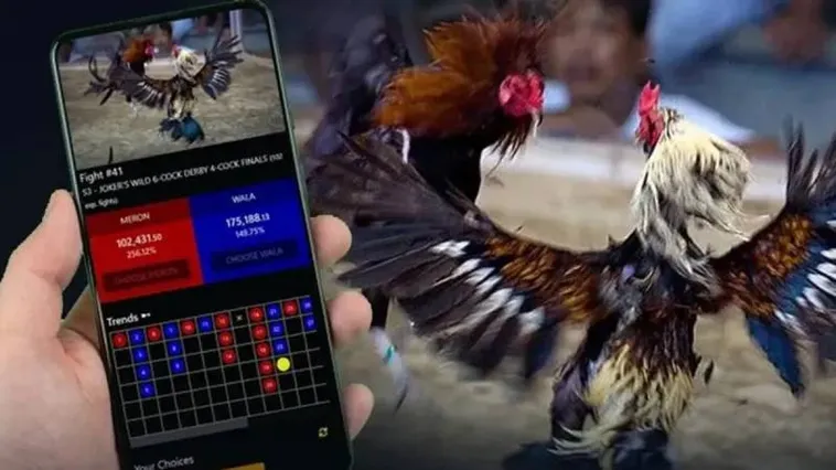 Đá Gà 12Bet Hấp Dẫn Khám Phá Cá Cược Đỉnh Cao Thú Vị