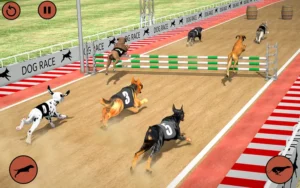 Bí Kíp Thắng Đậm Game Nhanh Đua Chó Tại 12Bet Chuẩn Xác Nhất