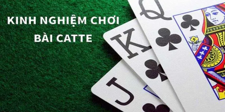 Bí Kíp Thành Thạo Sắc Tê 12Bet Đỉnh Cao Cho Người Chơi Mới